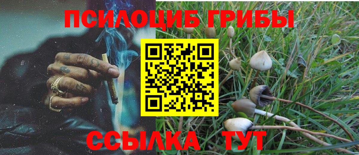 Галлюциногенные грибы Magic Shrooms Кулебаки