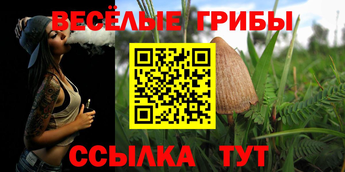 Псилоцибиновые грибы Psilocybine cubensis  купить  сайты  Псилоцибиновые грибы Psilocybine cubensis  Кулебаки  Вход с VPN 